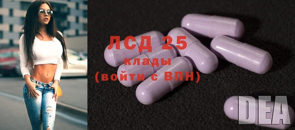 шишки Балахна