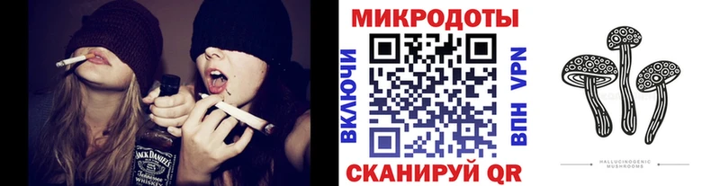 Псилоцибиновые грибы Psilocybe Тихвин
