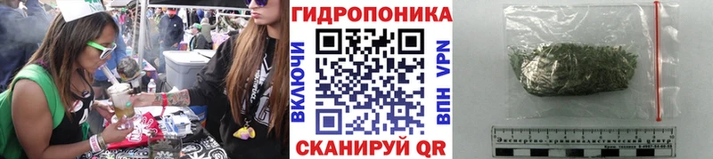 Купить закладки  Тихвин  Канабис LSD WEED 
